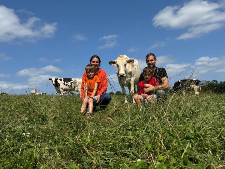 Un couple et 2 enfants assis dans un champ avec des vaches autour