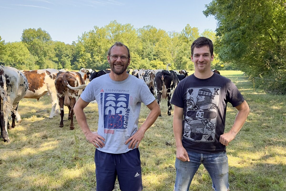 Des éleveurs dans une prairie avec des vaches en arrière plan - Illustration « Aller chercher l’herbe au bon stade »