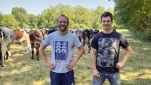 Des éleveurs dans une prairie avec des vaches en arrière plan