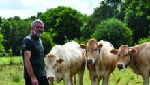 Un éleveur avec des vaches