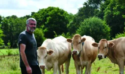 Un éleveur avec des vaches