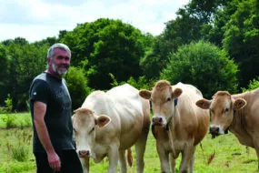 Un éleveur avec des vaches