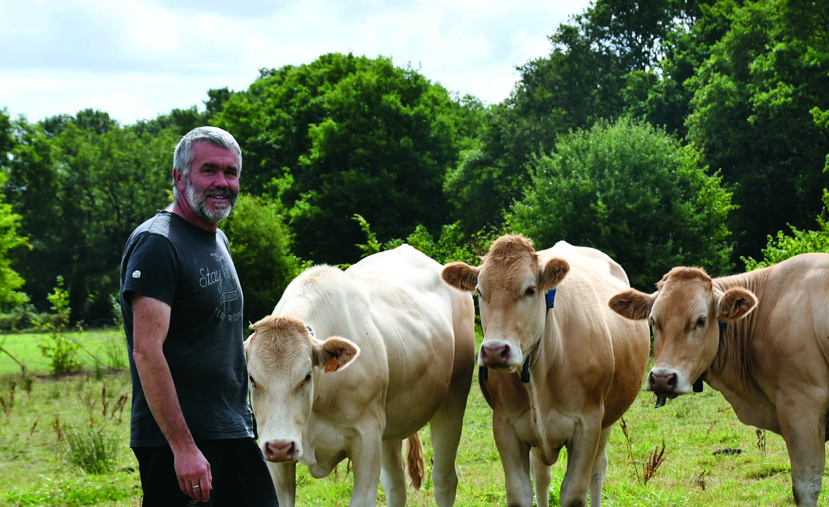 Un éleveur avec des vaches - Illustration Des Blondes d’Aquitaine en système très herbager
