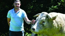 éleveur et tête du taureau en gros plan