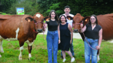 Des personnes avec des vaches