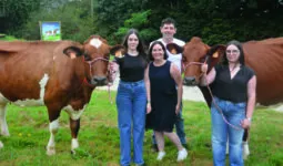 Des personnes avec des vaches