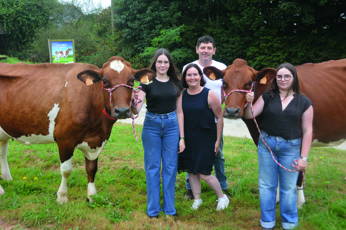 Des personnes avec des vaches - Illustration La Pie Rouge, une histoire de famille