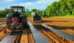 Des tracteurs dans un champ en train de semer des potimarrons sur du film