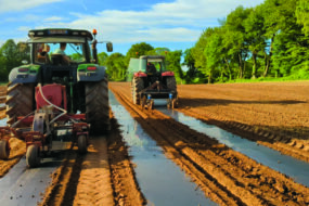 Des tracteurs dans un champ en train de semer des potimarrons sur du film