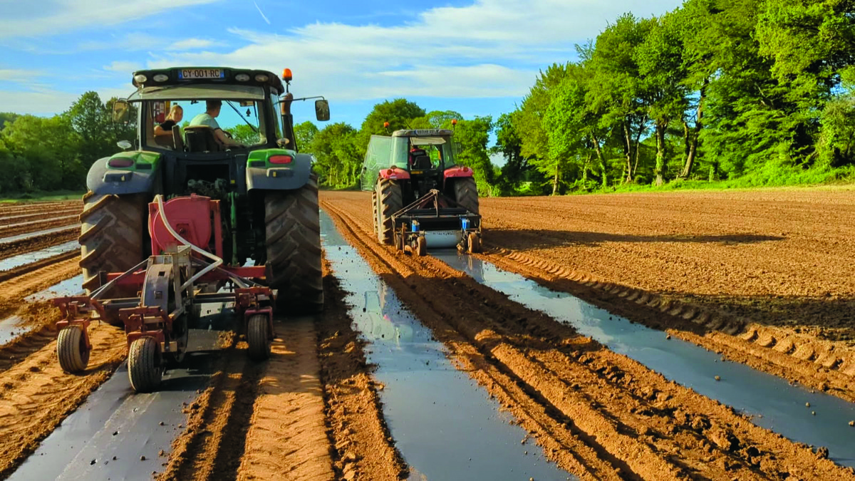 Des tracteurs dans un champ en train de semer des potimarrons sur du film - Illustration Apprendre les bases, la technologie vient ensuite