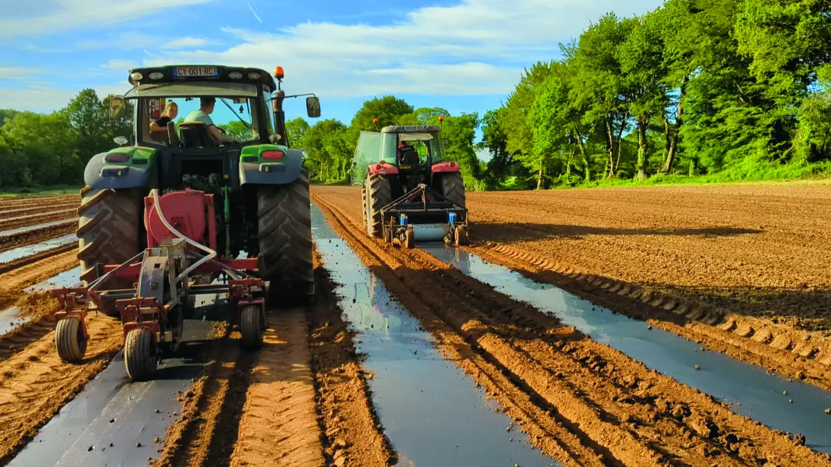 Des tracteurs dans un champ en train de semer des potimarrons sur du film - Illustration Apprendre les bases, la technologie vient ensuite