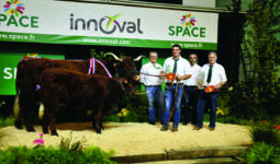 Vache Salers sur le podium du concours agricole au Space