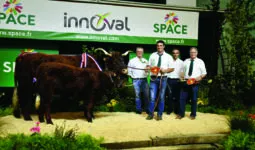 Vache Salers sur le podium du concours agricole au Space