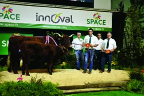 Vache Salers sur le podium du concours agricole au Space