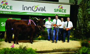 Vache Salers sur le podium du concours agricole au Space