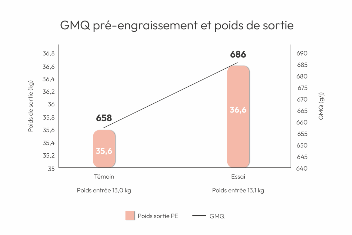 Graphique de correspondance entre le GMQ pré-engraissement et le poids de sortie en élevage de porc - Illustration Maximiser le potentiel de l’aliment grâce à la maîtrise de l’hygiène de la soupe