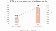 Graphique de correspondance entre le GMQ pré-engraissement et le poids de sortie en élevage de porc