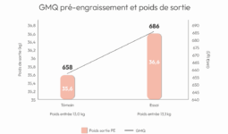 Graphique de correspondance entre le GMQ pré-engraissement et le poids de sortie en élevage de porc