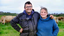 Un couple dans un champ avec des vaches