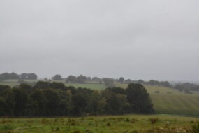 paysage breton dans la brume