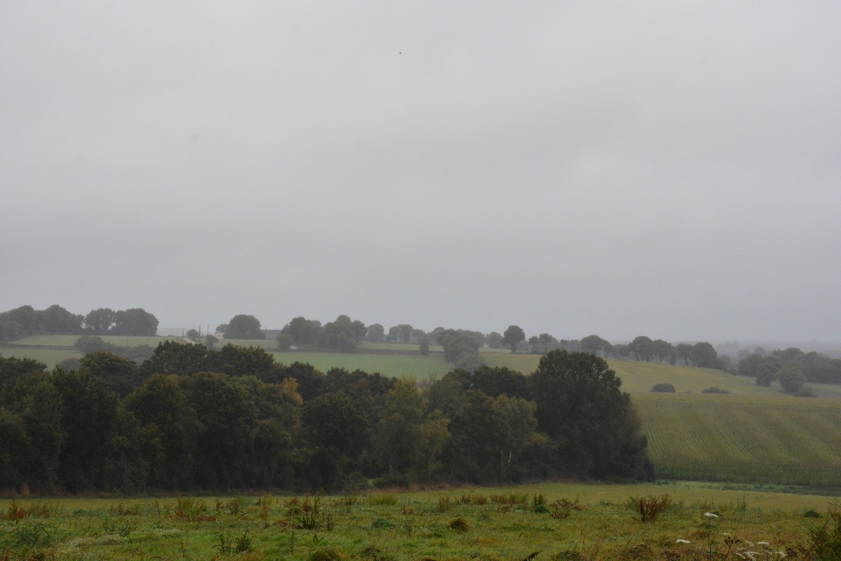 paysage breton dans la brume - Illustration +0,42 % pour l’indice  national de fermage