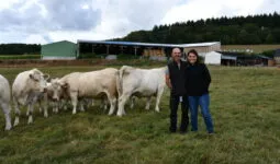des éleveurs avec des vaches charolaises devant des bâtiments