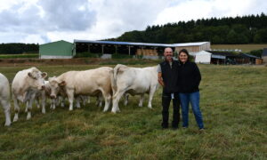 des éleveurs avec des vaches charolaises devant des bâtiments