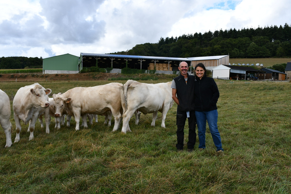 des éleveurs avec des vaches charolaises devant des bâtiments - Illustration Charolaises et énergie solaire vont de pair