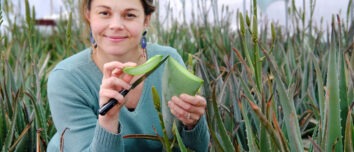 Une femme acccroupie dans une serre d'aloe vera