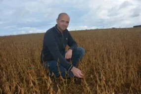 Un homme dans une parcelle de soja