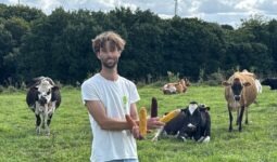 Un éleveur tenant quatre épis de maïs dans les mains devant des vaches dans une prairie