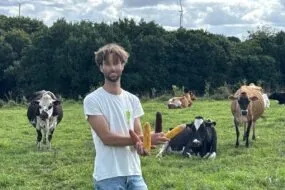 Un éleveur tenant quatre épis de maïs dans les mains devant des vaches dans une prairie