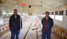 Deux hommes dans un bâtiment d'élevage de volailles