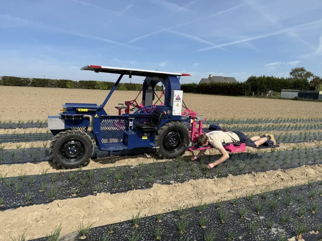 Conçu en collaboration avec maraîchers pour répondre à leurs besoins spécifiques, l’enjambeur Romanesco offre une alternative écologique et efficace pour les travaux manuels et mécaniques. Une innovation déjà distinguée par le salon des productions végétales Sival, le concours Etonnants Créateurs et le pôle de compétitivité Vegepolys Valley.