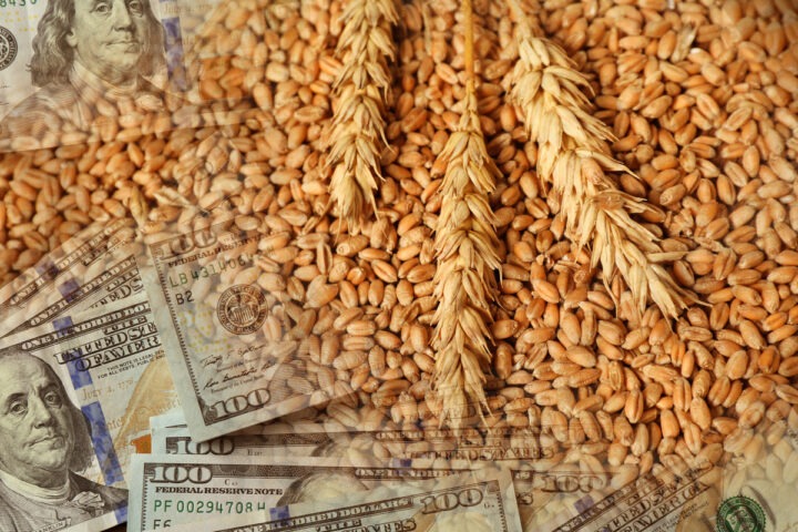 Grains de blé et billets de banque américains