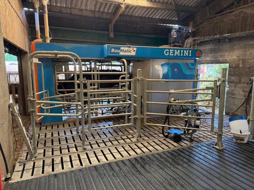 La stalle est installée au-dessus d'une fosse sous caillebotis.