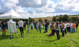 Élèves dans un champ