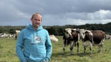 Un éleveur devant des vaches de race Normande dans une prairie.