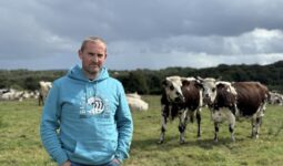 Un éleveur devant des vaches de race Normande dans une prairie.