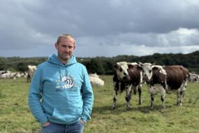 Un éleveur devant des vaches de race Normande dans une prairie.
