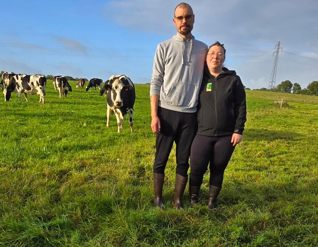 Un couple dans un champ avec un troupeau de vaches - Illustration Une belle repousse d’herbe