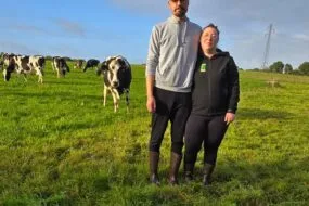 Un couple dans un champ avec un troupeau de vaches