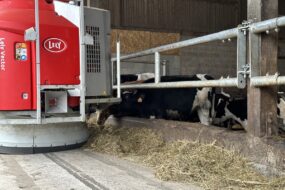 Un robot d'alimentation vector au travail dans une stabulation avec des vaches au ratelier