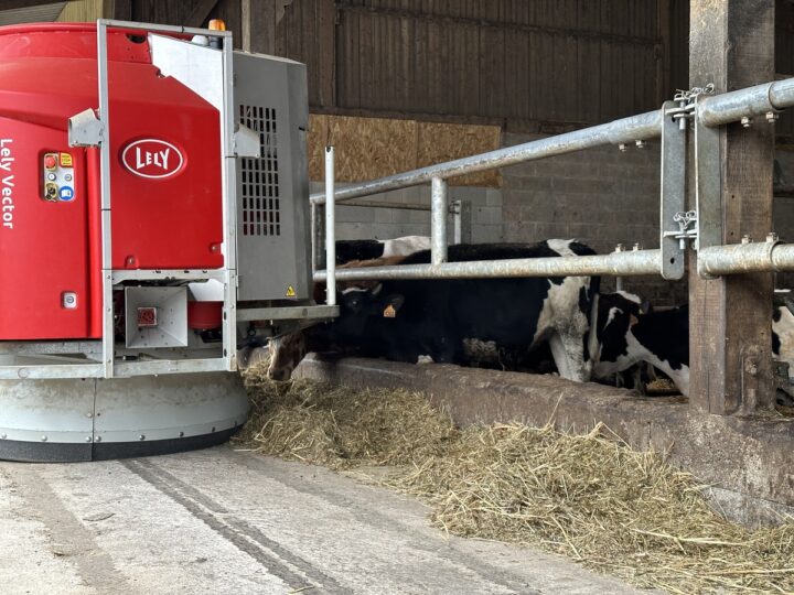 Un robot d'alimentation vector au travail dans une stabulation avec des vaches au ratelier