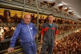 deux personnes en cottes de travail dans un poulailler