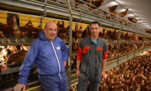 deux personnes en cottes de travail dans un poulailler
