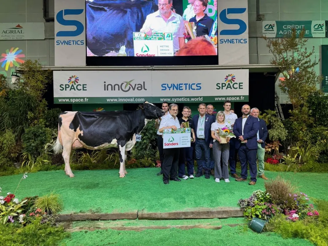 Réserve de grande championne et Championne Adultes, Rockabilly au Gaec de Santez Anna (22)