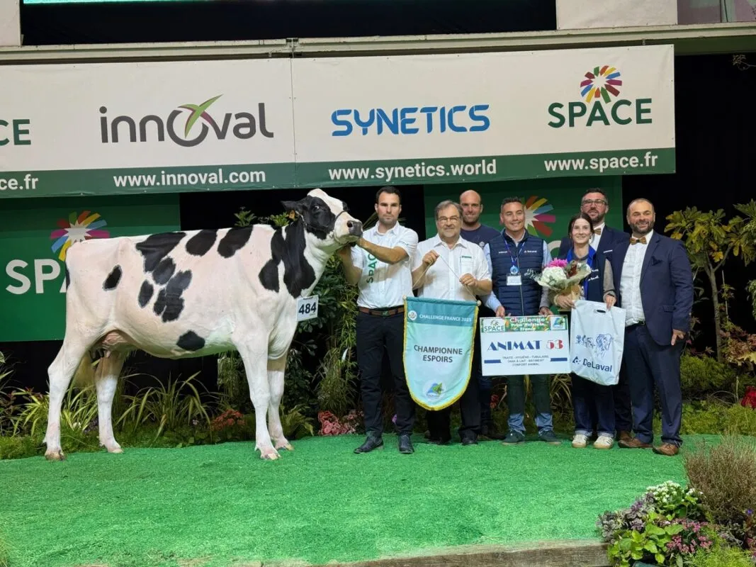 CapJ Thaï (Delta Lamb x Alligators) au Gaec Cabon (29) est championne Espoirs.