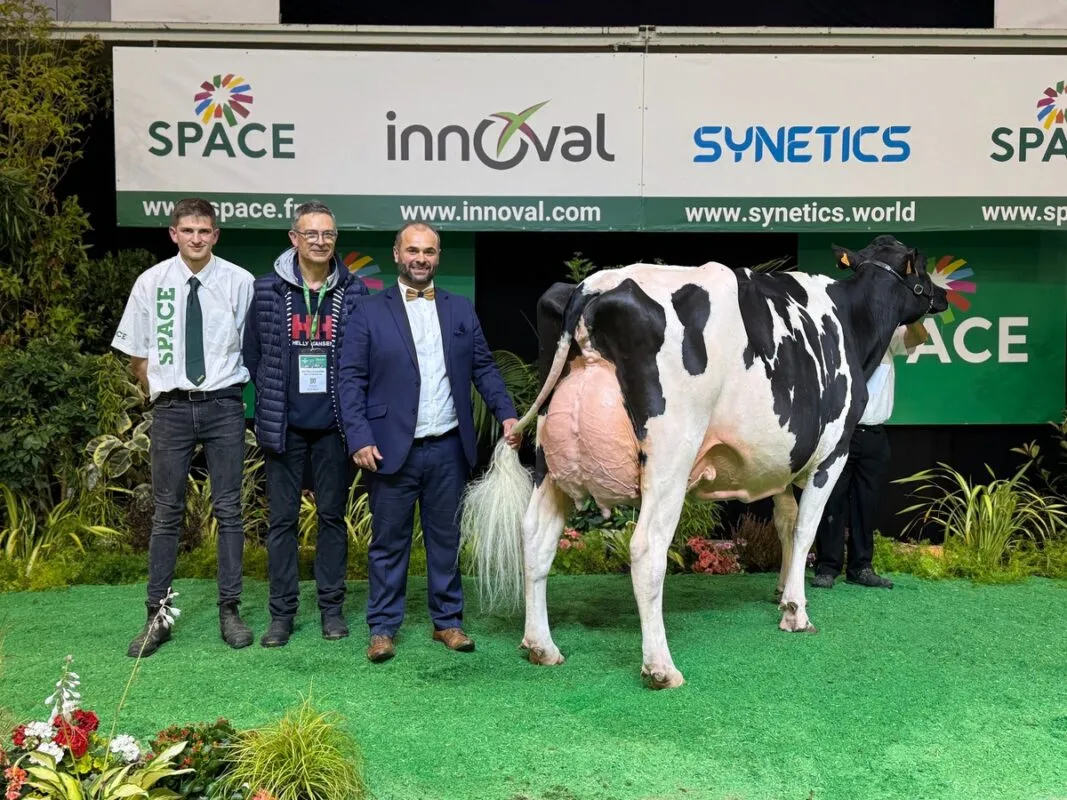 Saluden Russie, au Gaec de Kerguelvez (29) est réserve de championnat et meilleure mamelle Adultes.