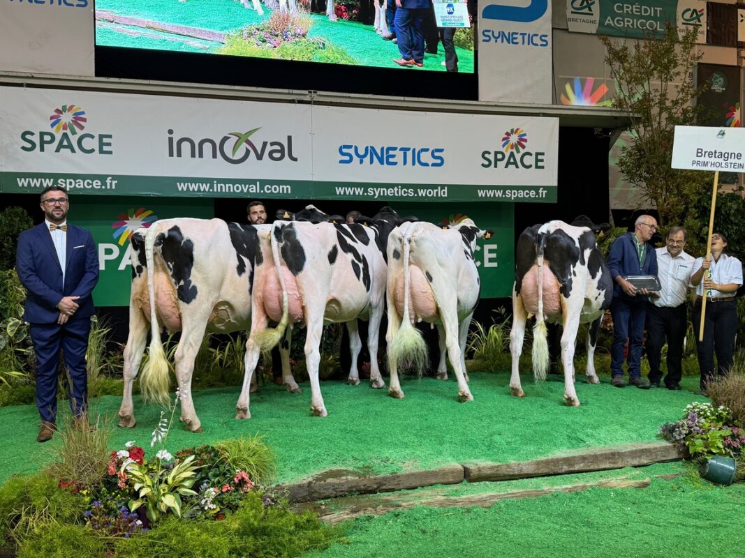 Le lot de la Bretagne remporte le Challenge inter-régional. 